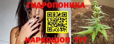 Альфа ПВП Бийск