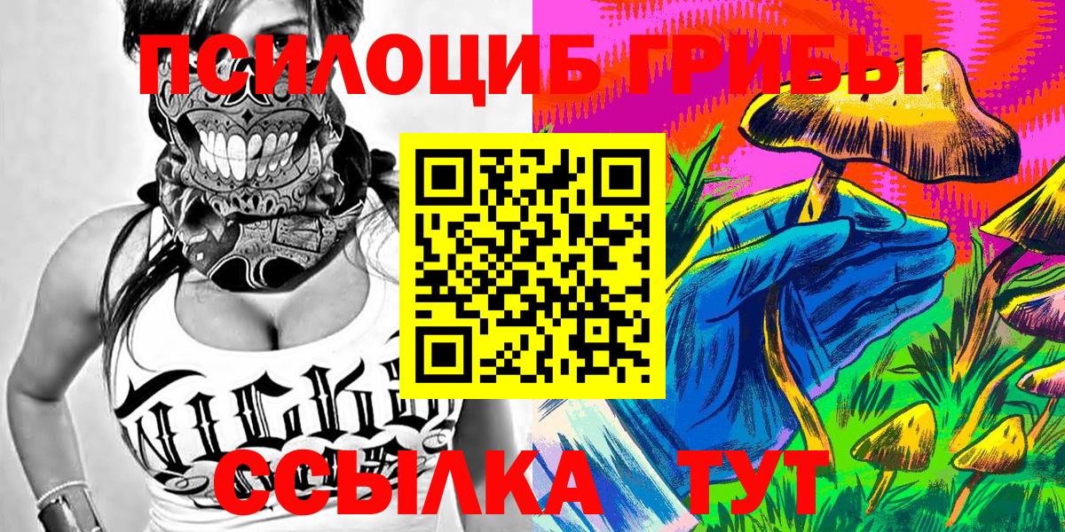 Псилоцибиновые грибы мицелий  купить закладку  Камышин  Вход с VPN 